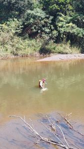 Coleta aguaRio Piracicaba - Mariana MG